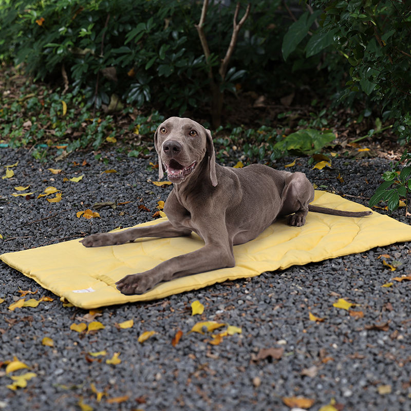 Переносной Коврик для домашних – обзор и цена Outdoor Rug Waterproof